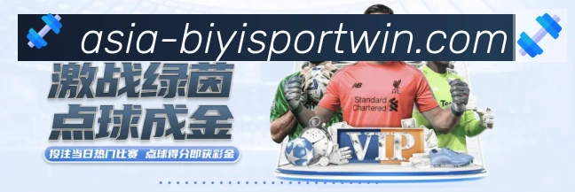 互动解说服务